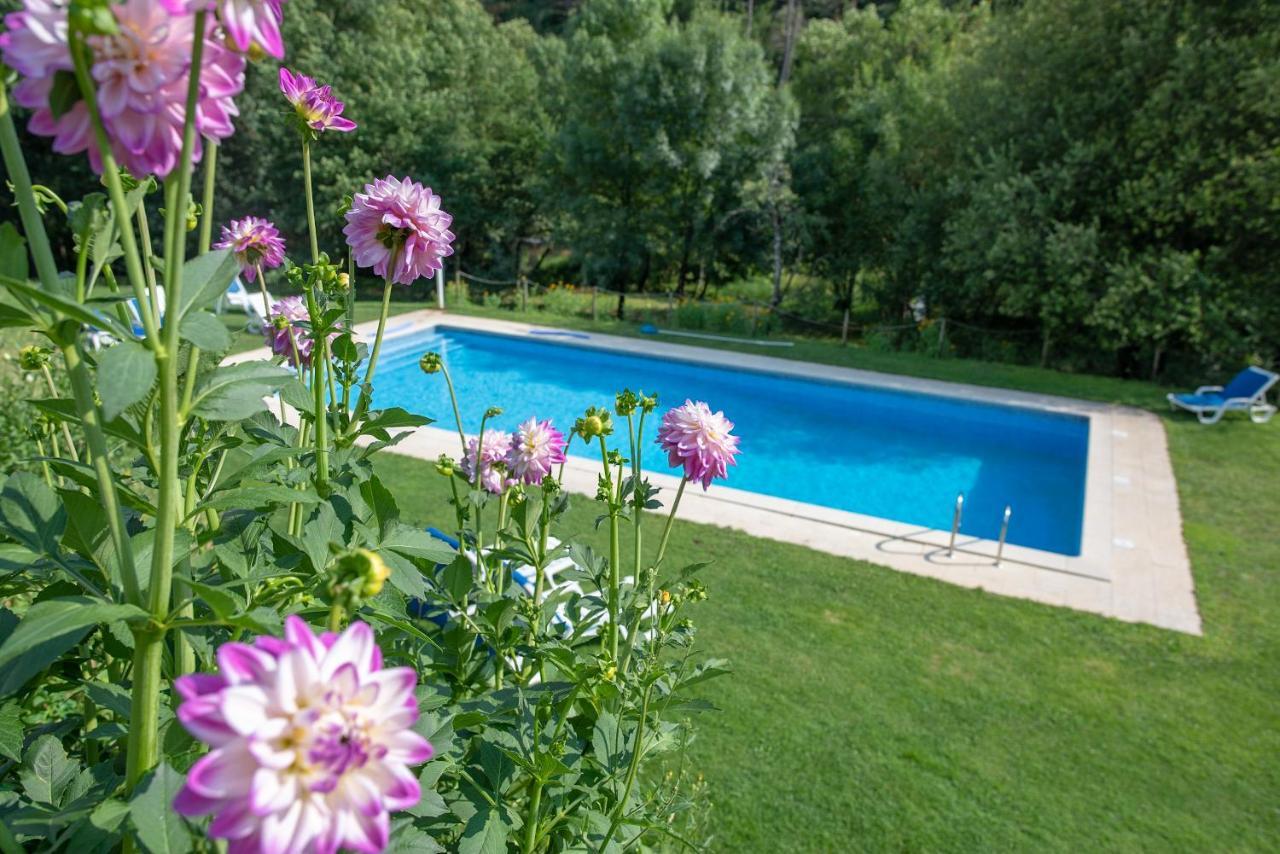 Quinta Da Rabacosa - Turismo Rural Castro Daire Esterno foto