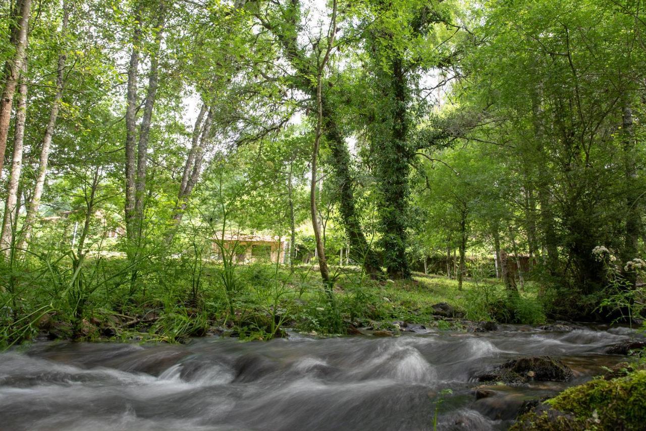 Quinta Da Rabacosa - Turismo Rural Castro Daire Esterno foto