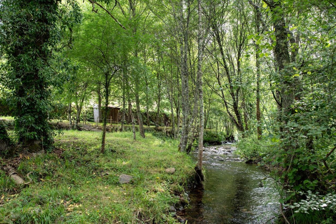 Quinta Da Rabacosa - Turismo Rural Castro Daire Esterno foto