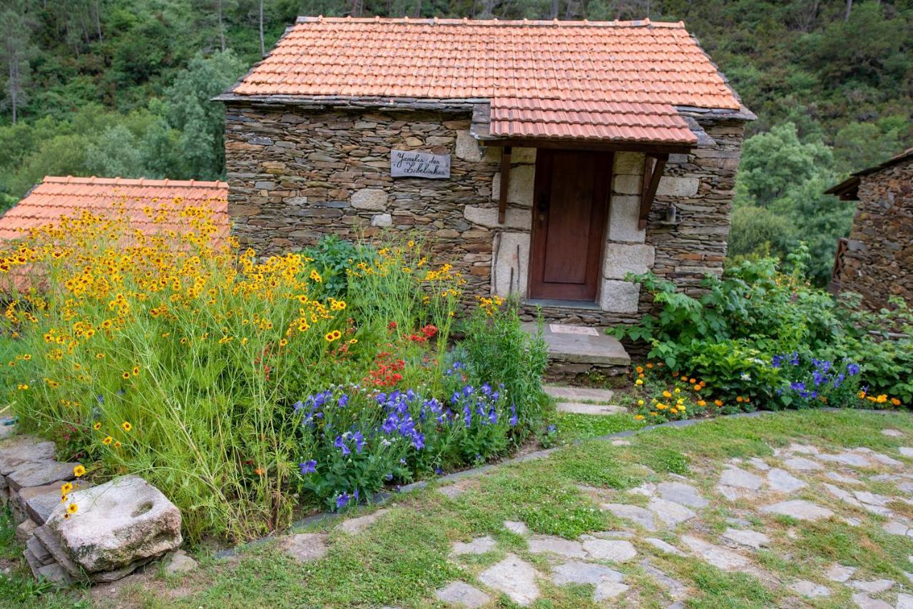 Quinta Da Rabacosa - Turismo Rural Castro Daire Esterno foto